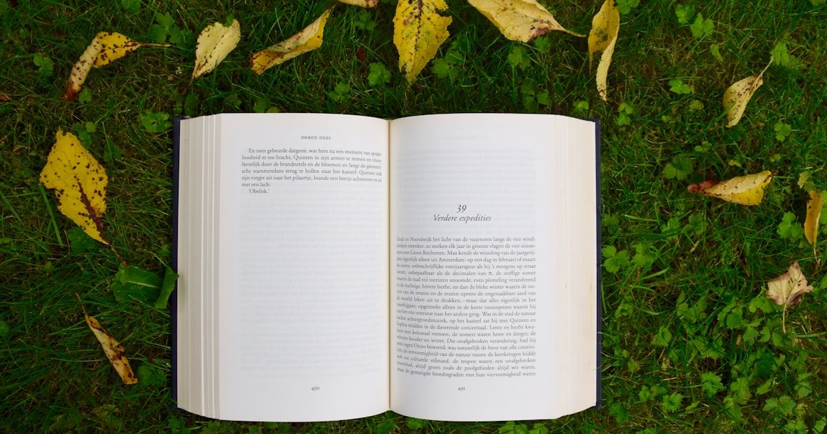 Open book in warm natural light