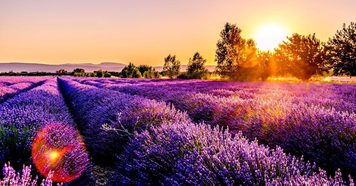 Celtic landscape at golden hour
