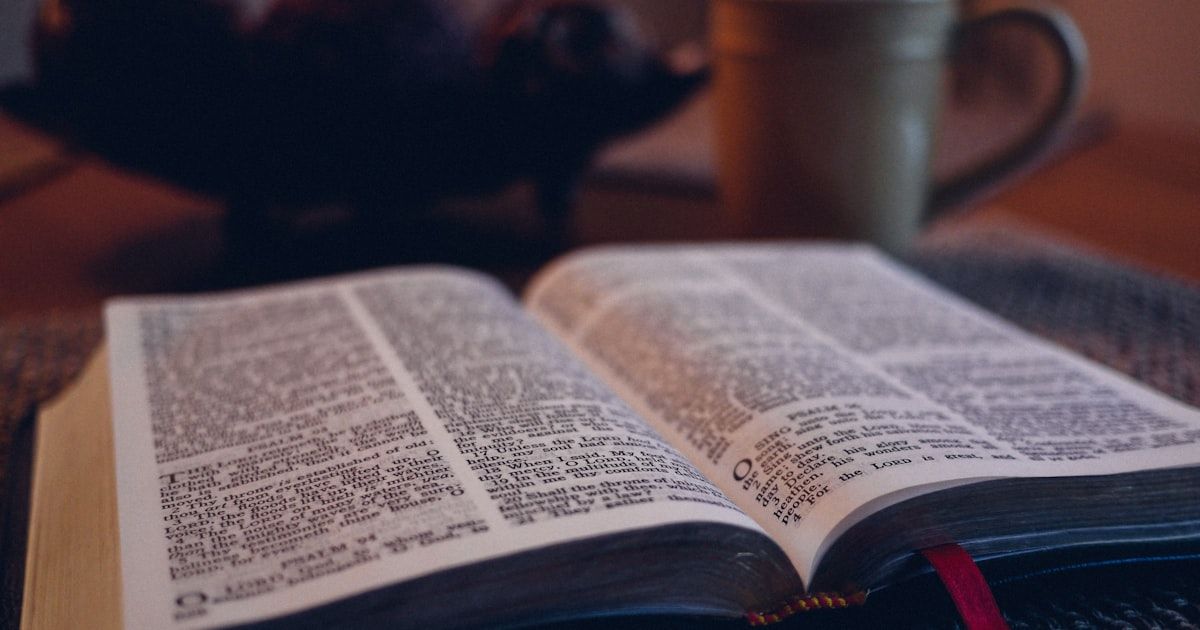 Open Bible with warm morning light